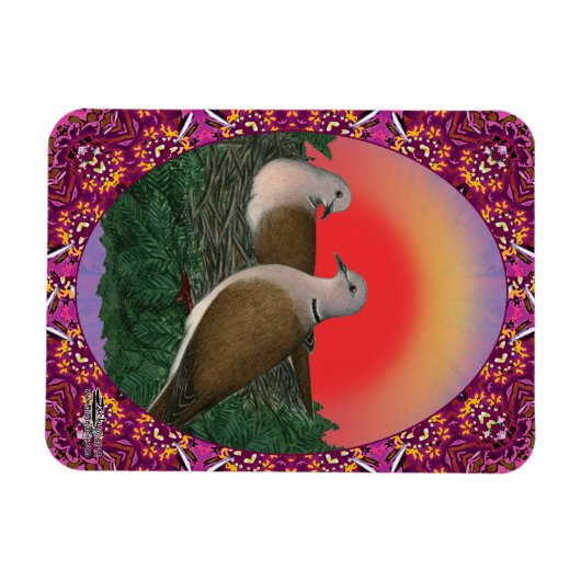 Tauben Gerahmt Magnet (Horizontal)