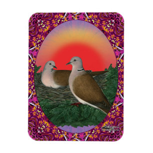 Tauben Gerahmt Magnet