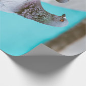 Tauben Geschenkpapier (Ecke)