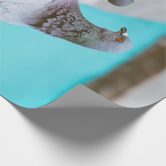 Tauben Geschenkpapier (Ecke)