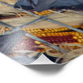 Tauben holen den Mais Fotodruck (Ecke)