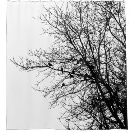Tauben im Baum Monochrom Hochkontrast Minimalistis Duschvorhang