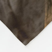 Tauben im Morgenlicht Fleecedecke (Ecke)