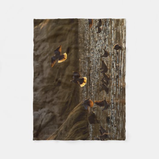 Tauben im Morgenlicht Fleecedecke (Vorderseite)