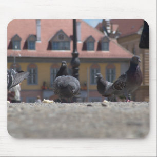 Tauben in der Stadt Mousepad