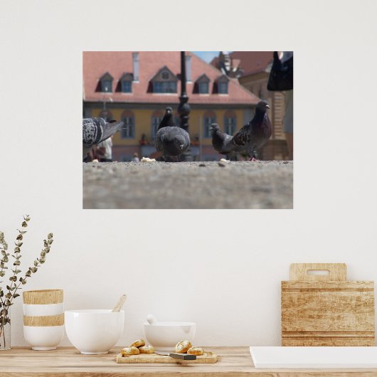 Tauben in der Stadt Poster (Küche)