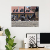 Tauben in der Stadt Poster (Heimbüro)