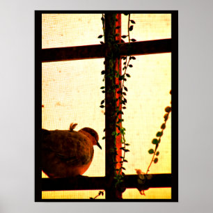 Tauben in einem Stausturm Poster