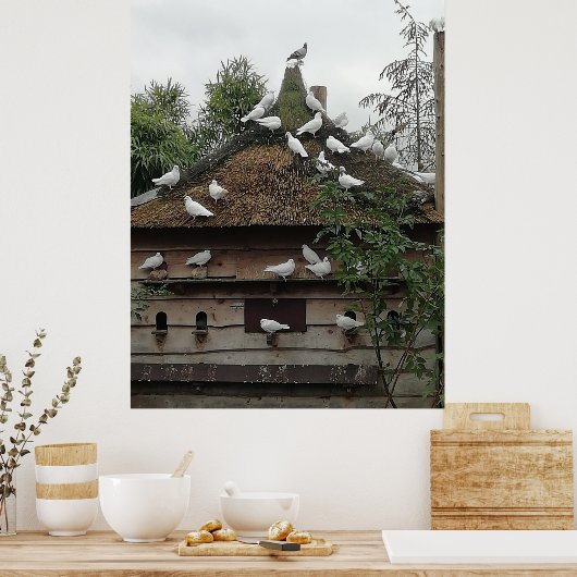 Tauben in ihrem Haus heimen. Poster (Küche)