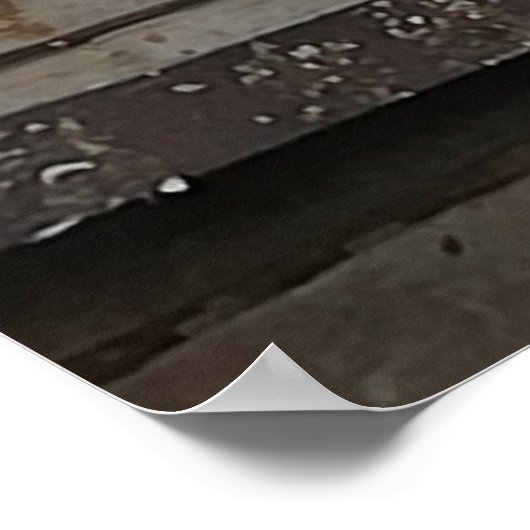 Tauben in ihrem Haus heimen. Poster (Ecke)