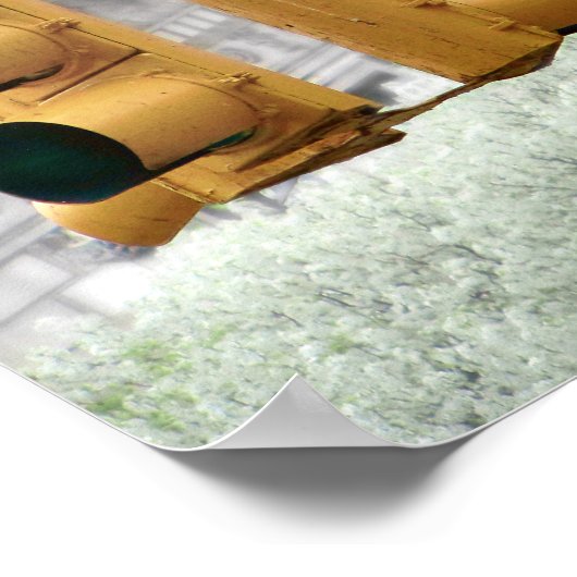 Tauben in New York Poster (Ecke)