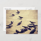 Tauben in Venedig Postkarte (Vorne/Hinten)