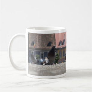 Tauben Kaffeetasse