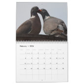Tauben-Kalender 2016 Kalender (Feb 2026)