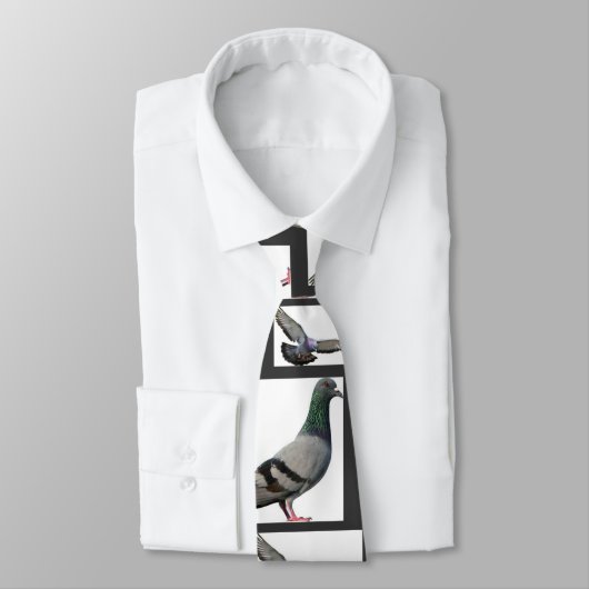 Tauben Krawatte (Gebunden)