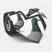 Tauben Krawatte (Gerollt)