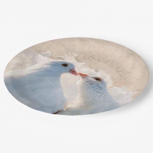 Tauben küssen - Liebe ist in der Luft Pappteller (Schrägansicht)