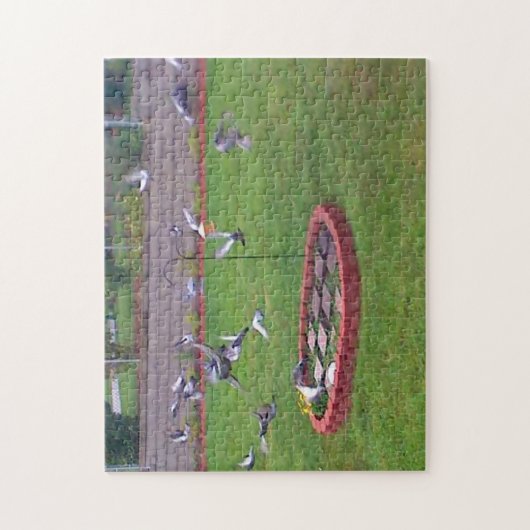 Tauben Landung Start von Vögeln Feeder Puzzle (Vertikal)