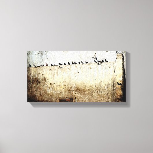 Tauben Leinwanddruck (Vorderseite)