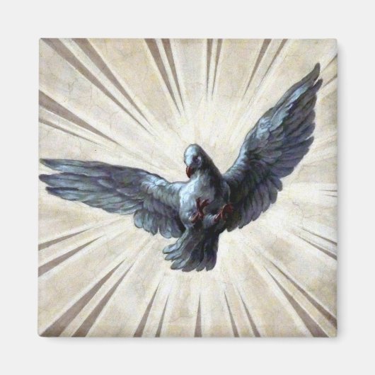 tauben magnet (Vorne)