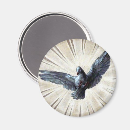 tauben magnet (Vorderseite/Rückseite)