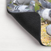 Tauben Mousepad (Ecke)