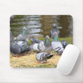 Tauben Mousepad (Mit Mouse)