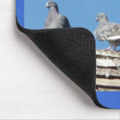 Tauben Mousepad (Ecke)