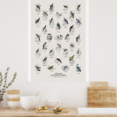 Tauben - Naturalist's Library Poster (Küche)