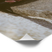 Tauben Poster (Ecke)