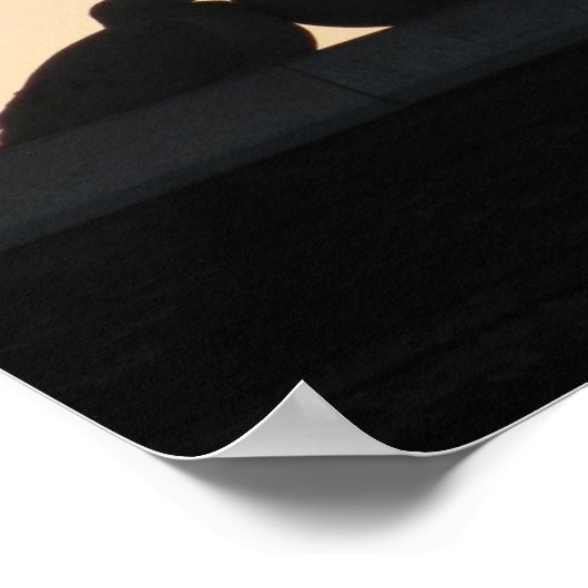 Tauben Poster (Ecke)