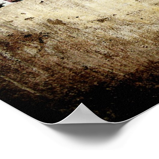 Tauben Poster (Ecke)