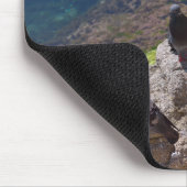 Tauben sonnenbaden mousepad (Ecke)