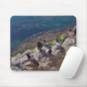Tauben sonnenbaden mousepad (Mit Mouse)