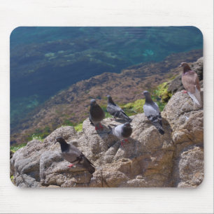 Tauben sonnenbaden mousepad