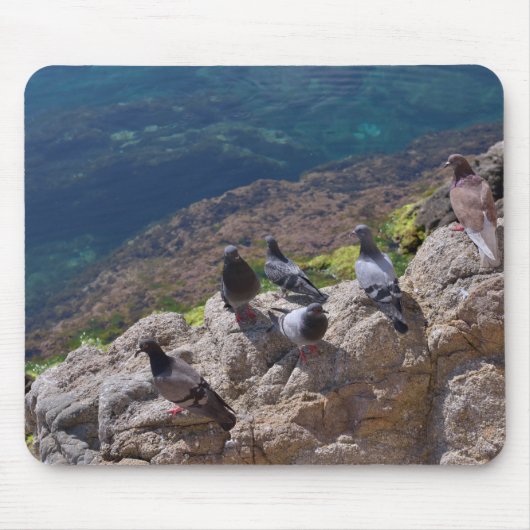 Tauben sonnenbaden mousepad (Vorne)
