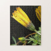 Tauben tropft auf eine gelbe Daisy - Puzzle (Vertikal)