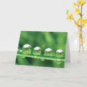 Tauben tropft auf grüne Grasgedichte der Natur Karte (Gelbe Blume)