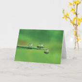 Tauben tropft auf grüne Grasgedichte der Natur Karte (Gelbe Blume)