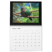 Tauben u. Tauben 2017 Kalender (Jan 2027)