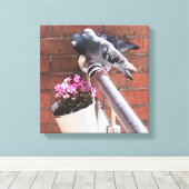 Tauben und Blume Leinwanddruck (Insitu (Holzboden))
