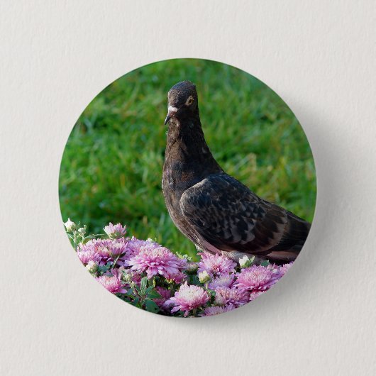 Tauben und Mums Button (Vorderseite)