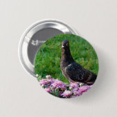 Tauben und Mums Button (Vorne & Hinten)