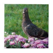 Tauben und Mums Fliese (Vorderseite)