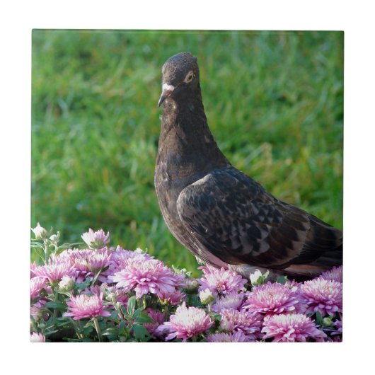 Tauben und Mums Fliese (Vorderseite)