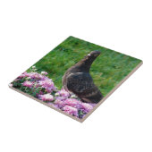 Tauben und Mums Fliese (Seite)