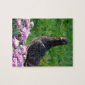 Tauben und Mums Puzzle (Horizontal)