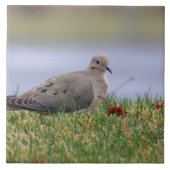 Tauben-Vogel Fliese (Vorderseite)