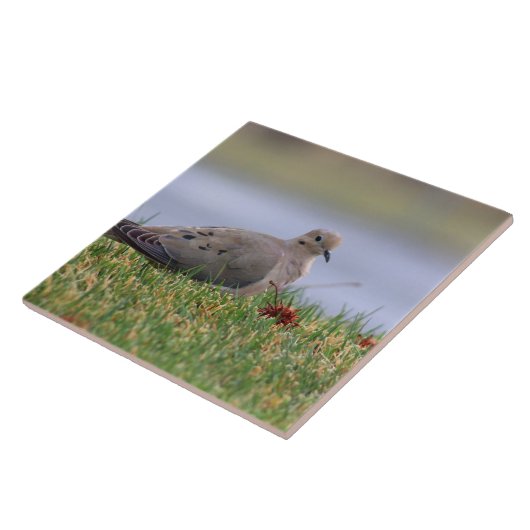 Tauben-Vogel Fliese (Seite)
