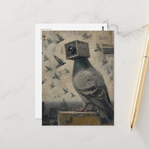 Tauben Vogel Kamera Collage Postkarte